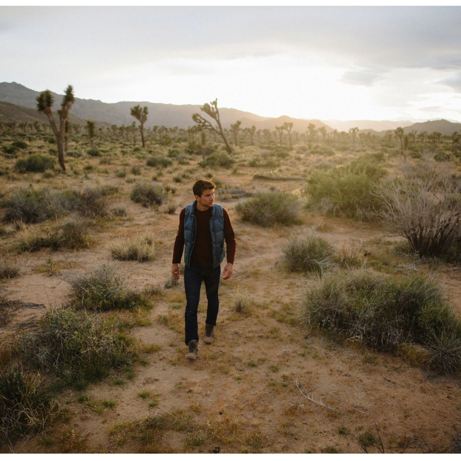 Danner Men's Skyridge 4.5" WP Hiking Shoe - Dark Earth - 30162 10 Danner Men's Skyridge 4.5" WP Hiking Shoe - Dark Earth - 30162 - Image 10