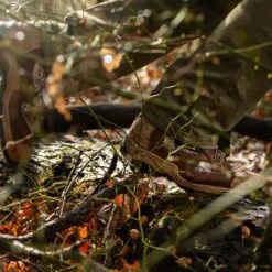 Lacrosse Men's Atlas 8" Soft Toe WP 400G Ins Hunt Boot - Brown - 572111 21 Lacrosse Men's Atlas 8" Soft Toe WP 400G Ins Hunt Boot - Brown - 572111 -Danner Shop 572111 alt1