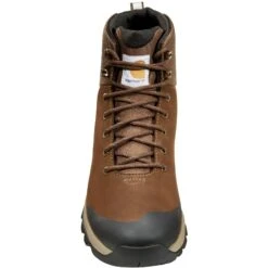 Carhartt Men's 5" WP Alloy Toe Hiker Boot - Dark Brown - FH5520-M -Danner Shop FH5520 M FH5020 M6
